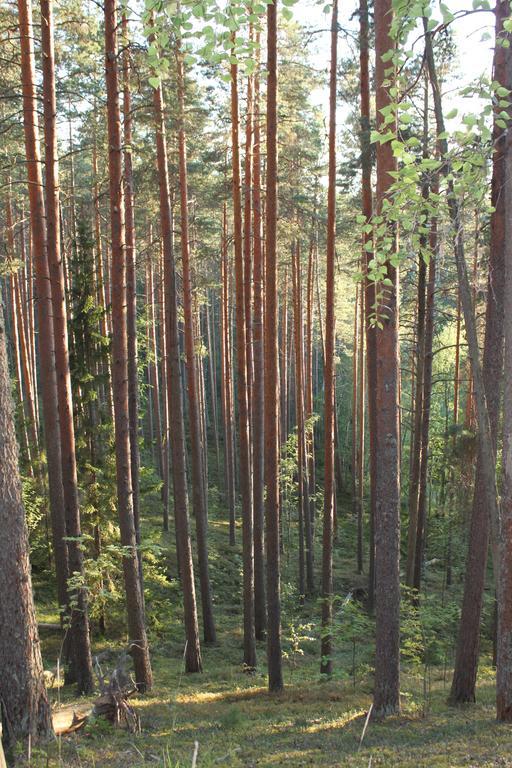 Hotel Kruunupuisto Пункахару Екстериор снимка